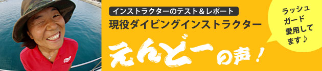 サイズ見本
