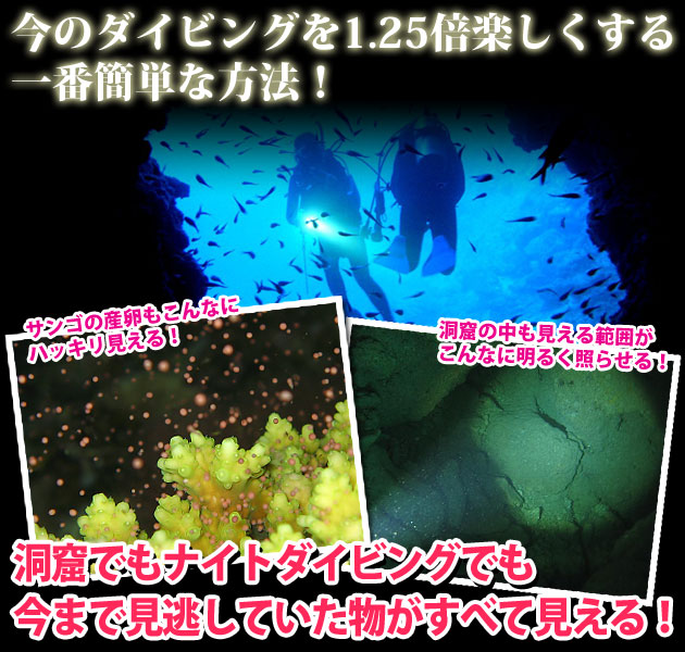 ���ޤǸ�ƨ���Ƥ���ʪ�����������롪