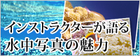 ���󥹥ȥ饯������������̿���̥��