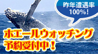 �ޥ��ϥ������������Υۥ����륦���å���