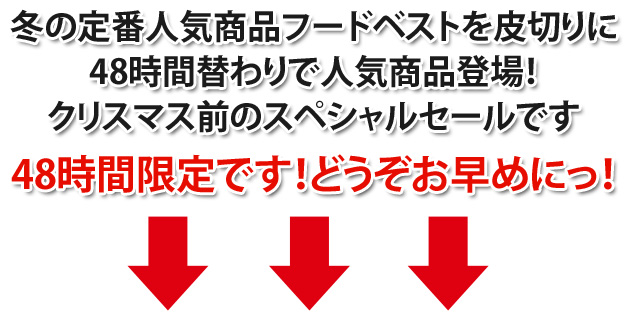 クリスマス早割!48時間限定セール