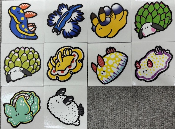 フィンステッカー