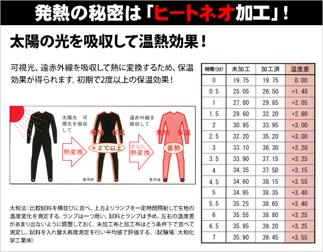 ホットカプセル