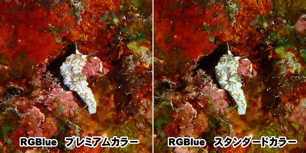 RGBlue】 System01:re プレミアムカラー/標準バッテリー☆ワイドタイプ