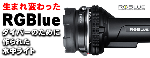 RGBlue TWIN LIGHT SYSTEM02:re PREMIUM COLOR アールジーブルー